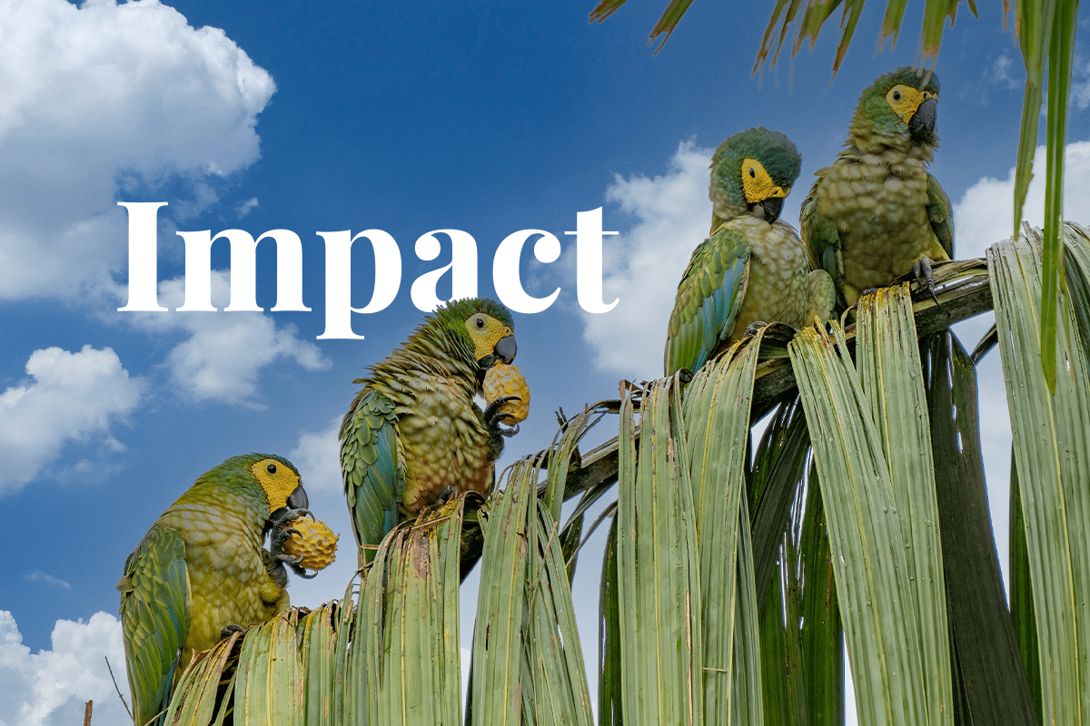 New report reveals companies with highest potential impact on biodiversity_visual 1