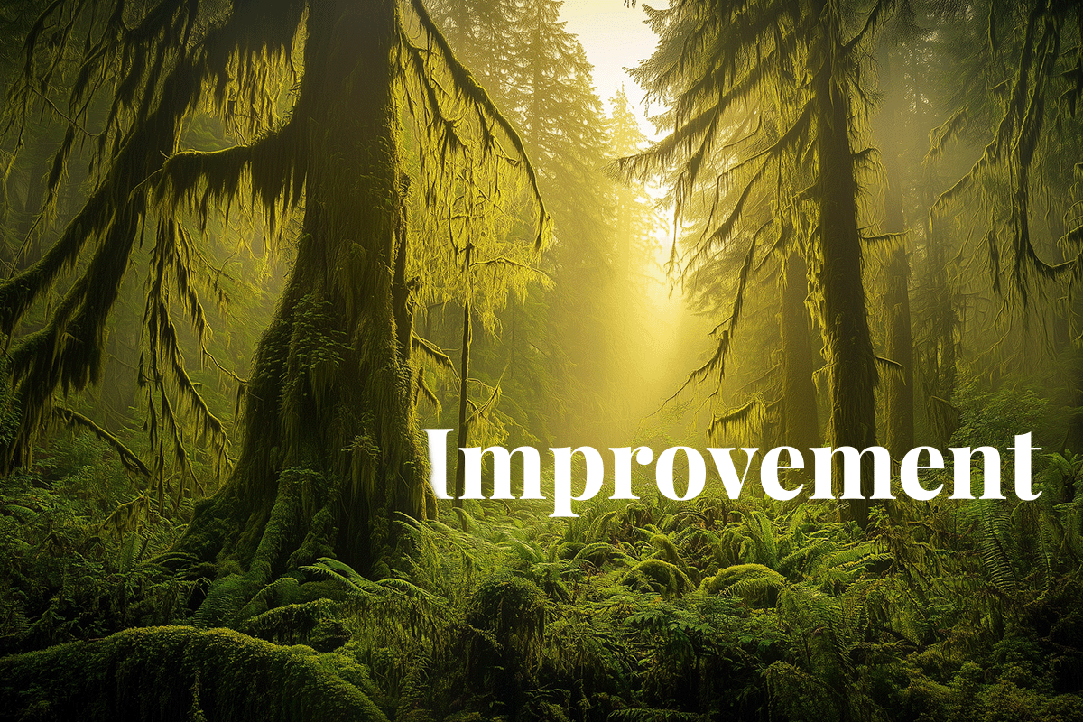 New study highlights 9 million tonne carbon reduction potential in North American forests_Hoh Rainforest in Washington states Olympic National Park_visual 1