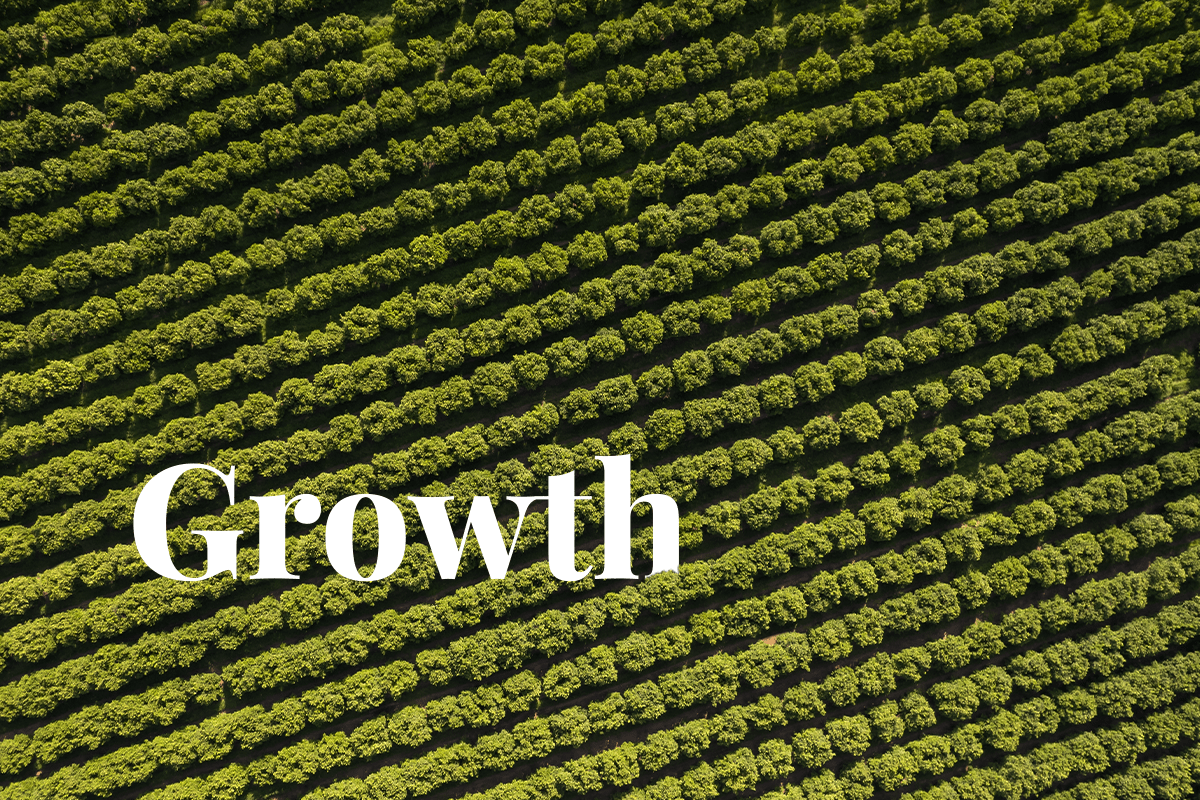 New study_ carbon credit market expected to go through the roof_visual 1