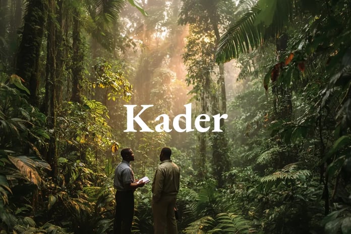 Nigeria defines its carbon market architecture and developer obligations_visual 1)NL