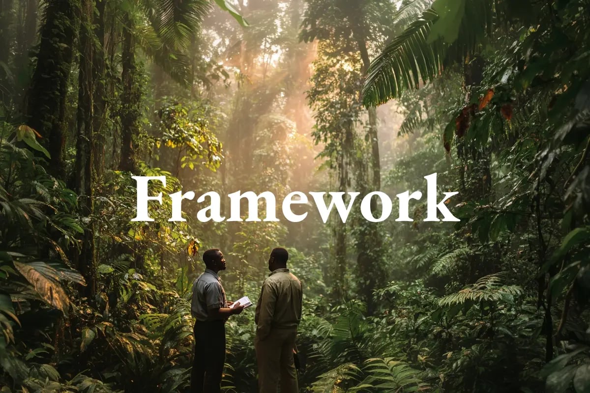 Nigeria defines its carbon market architecture and developer obligations_visual 1