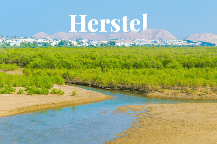 Omans mangrove restoration_Landscape view of mangroves in Muscat_visual 1_NL