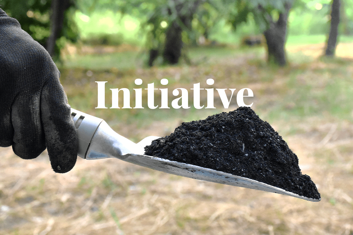 One of Korea’s Largest Banks Backs Carbon Credits_visual 1