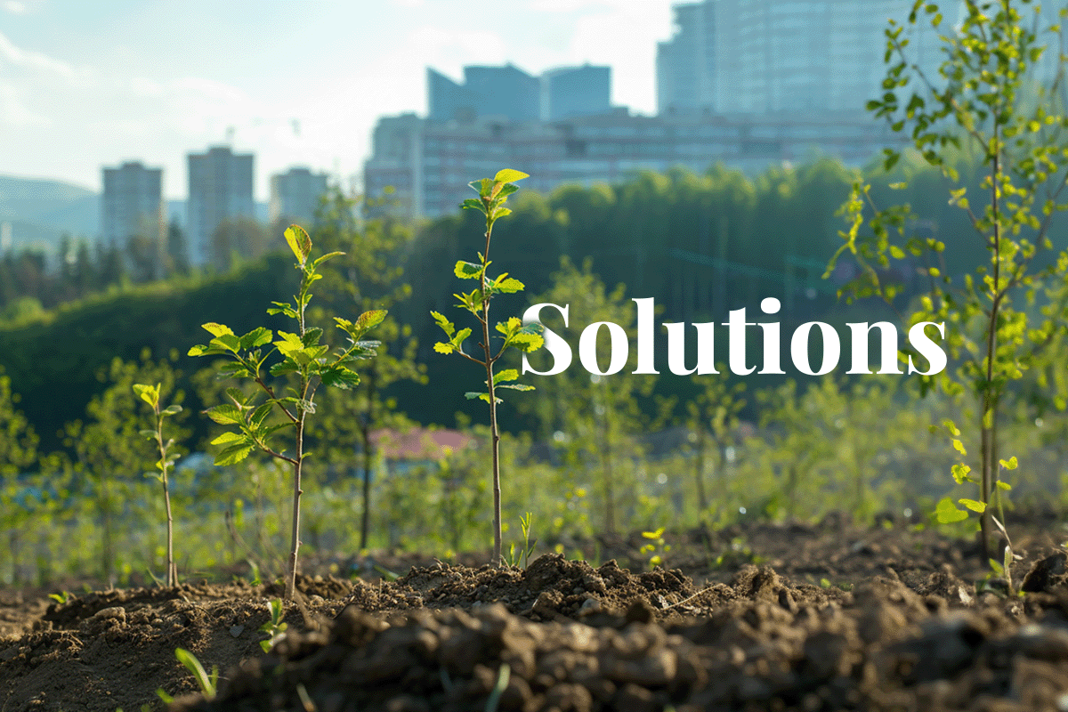 And Practical Solutions: Smart Strategies for Everyday Problems