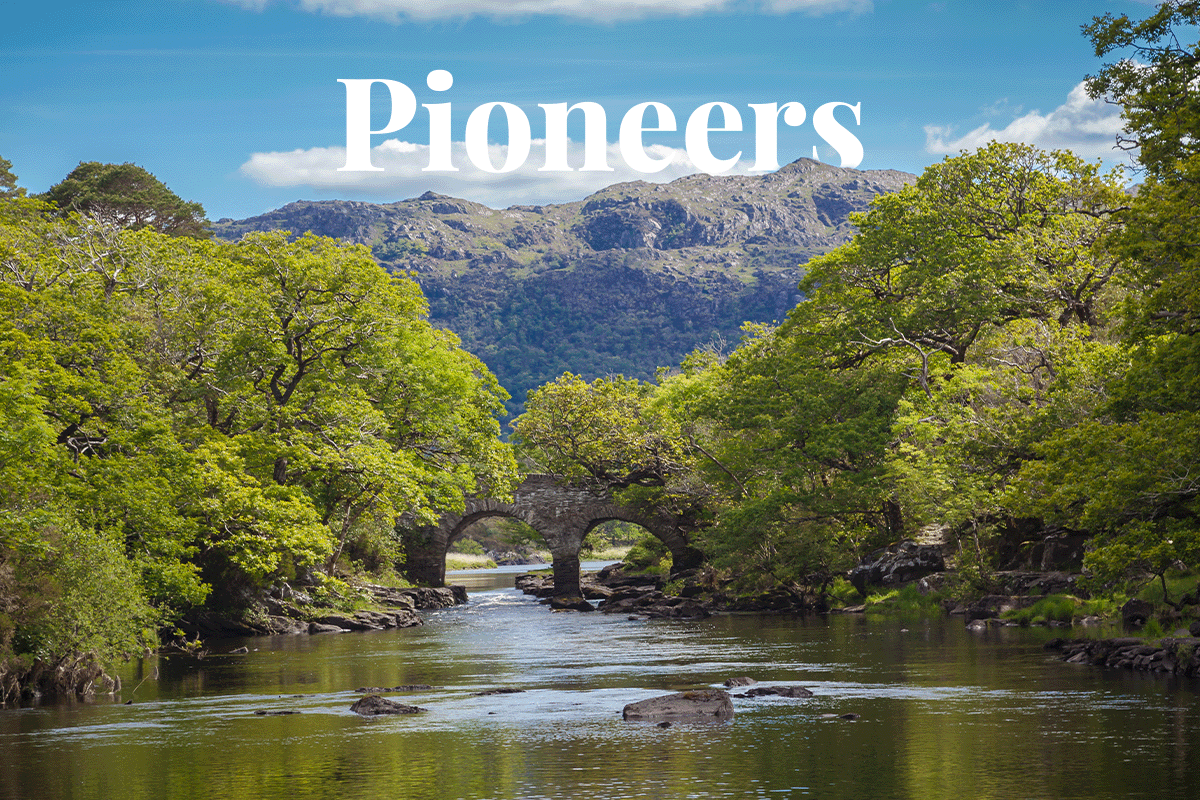 Philip Lee LLP, pioneers in sustainable law_view of a river in a forest in Ireland_visual 1