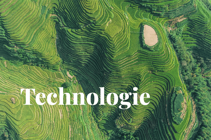 Pioneering satellite-verified carbon credits for rice farming_Aerial view of rice fields_visual 1_NL