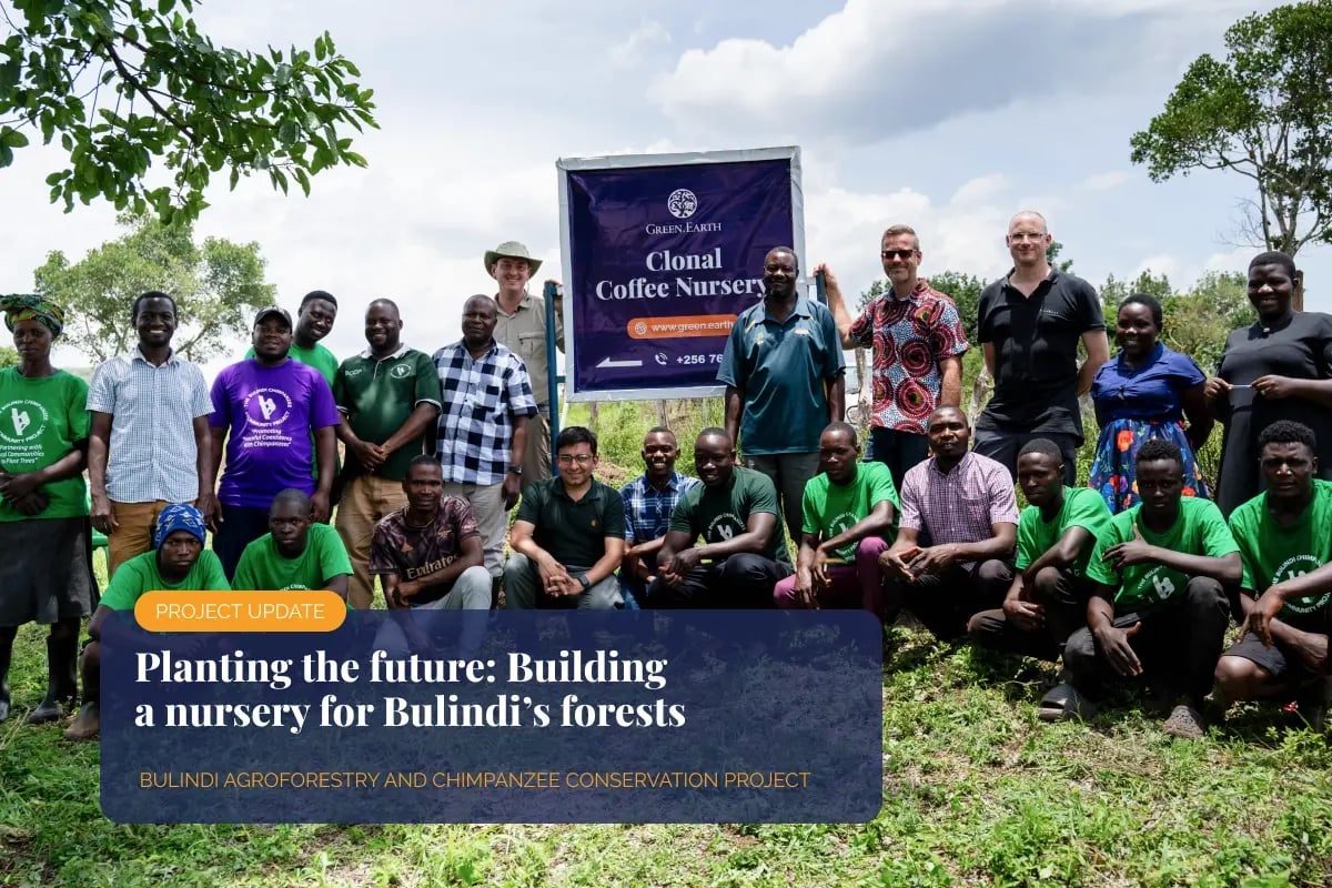 Planting the future_ Building a nursery for Bulindi’s forests_visual 1