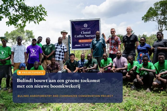 Planting the future_ Building a nursery for Bulindi’s forests_visual 1_NL