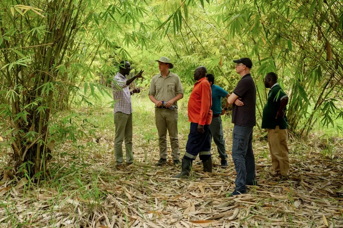 Planting the future_ Building a nursery for Bulindi’s forests_visual 2