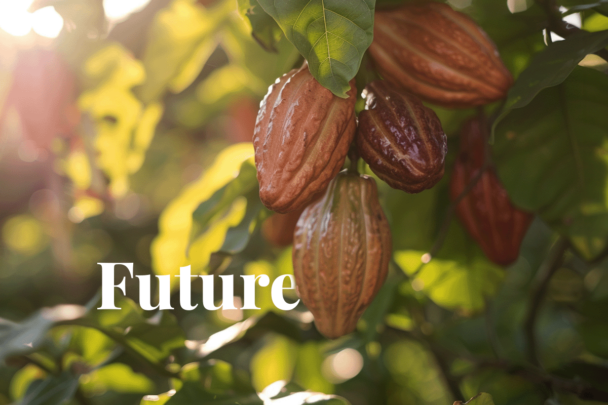 Planting the future_ Nestlés bold move to cut cocoa emissions_Close-up of a cocoa tree branch_visual 1