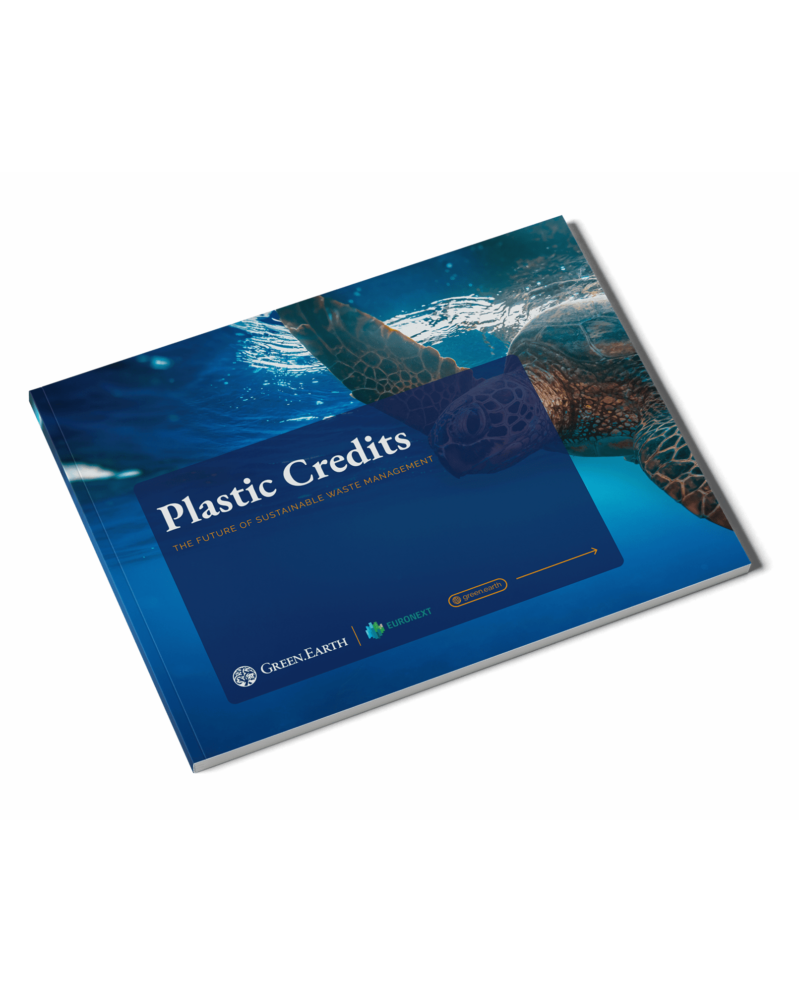 Plastic Credits_EN