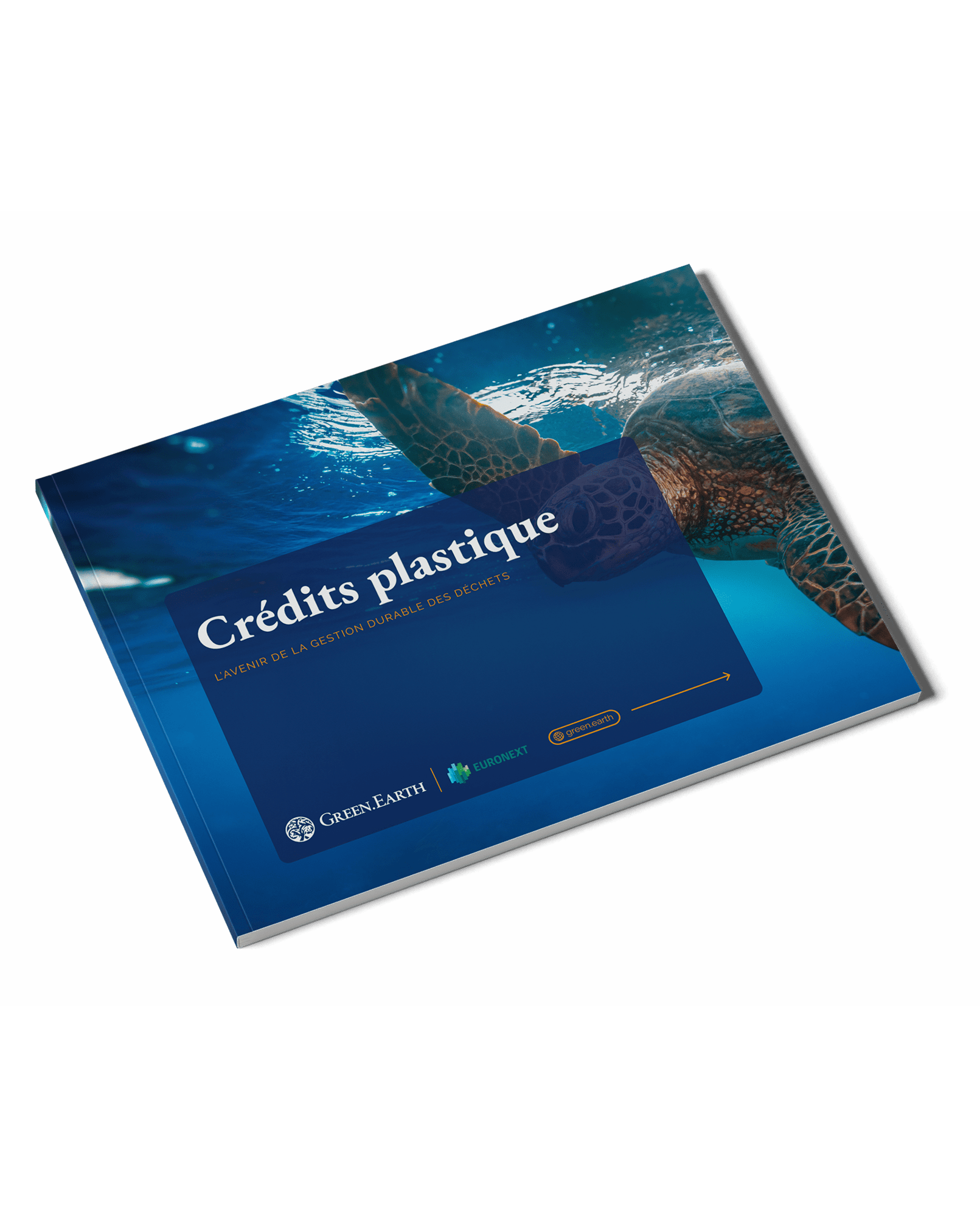 Plastic Credits_FR (1)