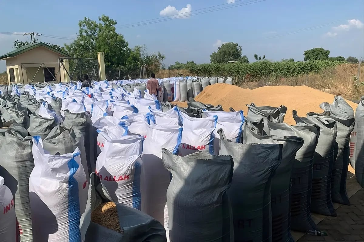 Press Release_Green Earth deploys catalytic capital for resilient agriculture in Ghana in partnership with Pangea Global Ventures_visual 4