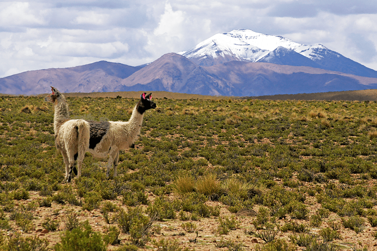 Preventing desertification_ Top 5 success stories_visual 4