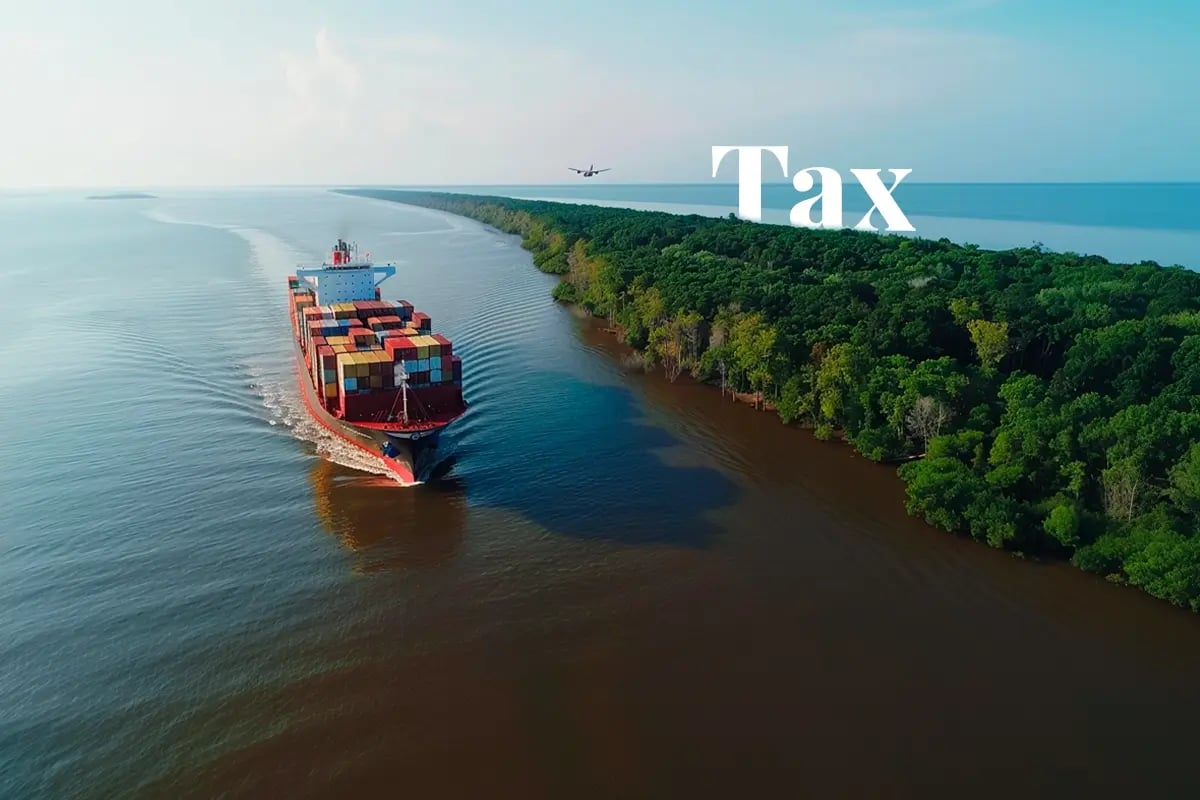 Proposed US carbon tariff on imports to boost domestic carbon removal solutions_Aerial view of a cargo ship and airplane near a forested US coastline_visual 1