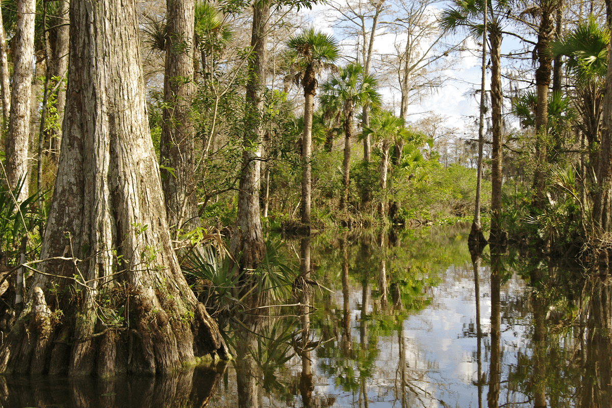 Protecting Vital Habitats (11)