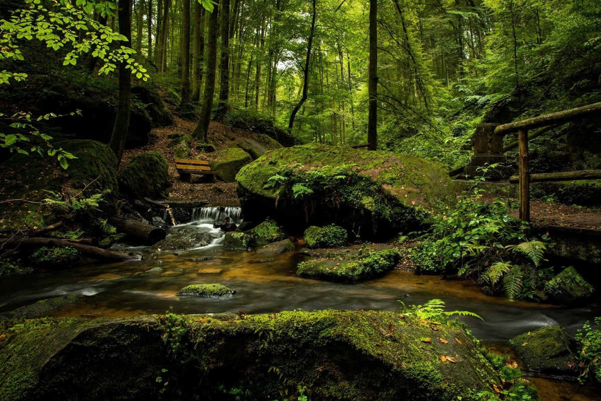 Rainforests, coral reefs, and wildlife - Belize takes center stage at COP27