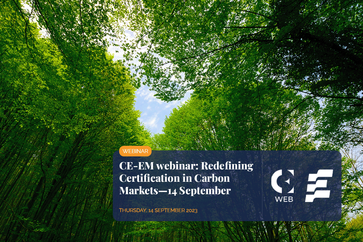 Redefining Certification in Carbon Markets_treetops of a lush deciduous forest_visual 1