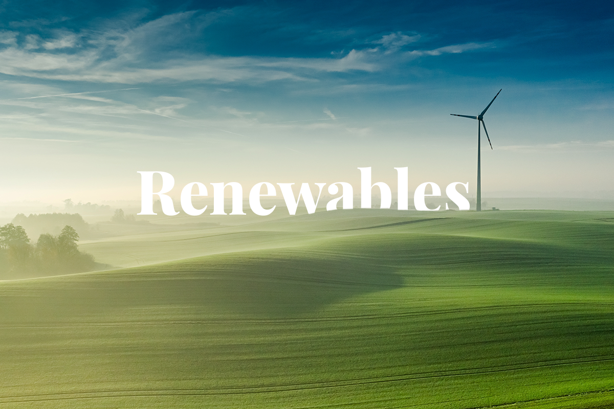 Renewable energy to be the main source of electricity generation by 2025