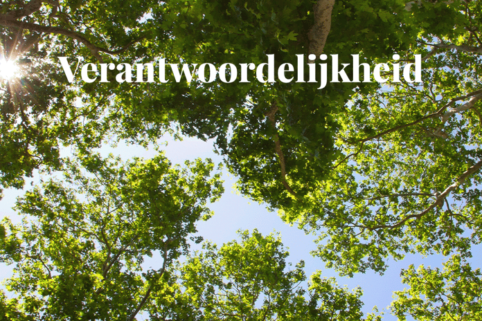 Scope 4 emissions_ redefining corporate responsibility_Photo of trees from below against a blue sky_visual 1_NL