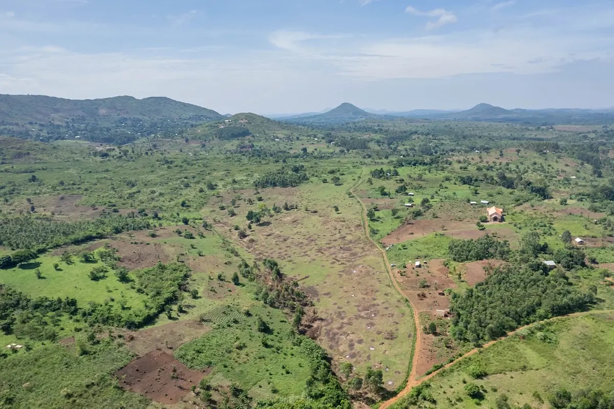 Seeds of impact, Expanding Uganda’s green horizon_Aerial view of an agroforestry landscape in Uganda_visual 2