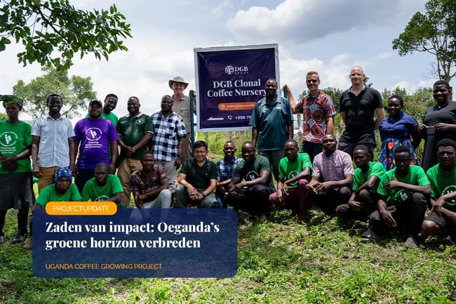 Seeds of impact, Expanding Uganda’s green horizon_DGB team members at the new clonal coffee nursery in Bulindi Town Council_visual 1_NL