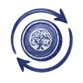 Share buy-back programme
