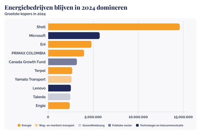 Shell and Microsoft lead the carbon credit market in 2024_A chart illustrating energy firms dominance in 2024 on the carbon credit market_visual 2_NL