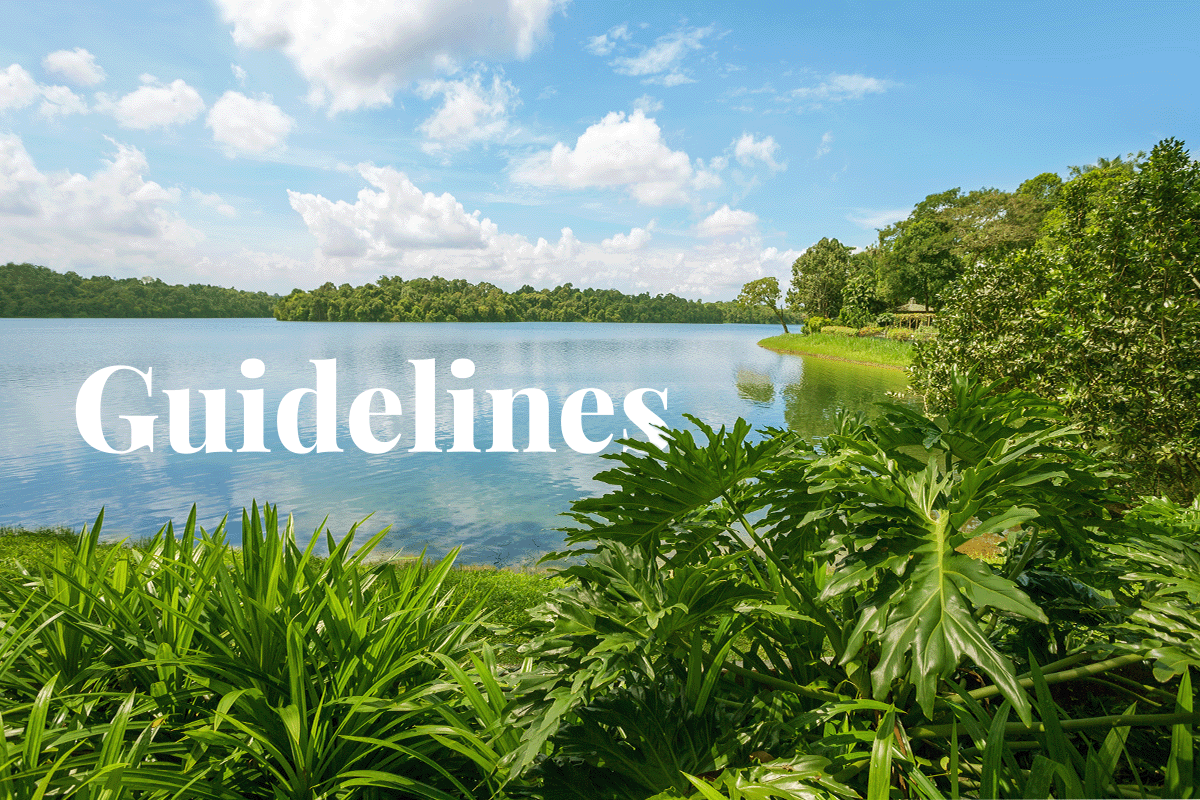 Singapore unveils its own carbon credit guidelines_Nature view in Singapore_visual 1