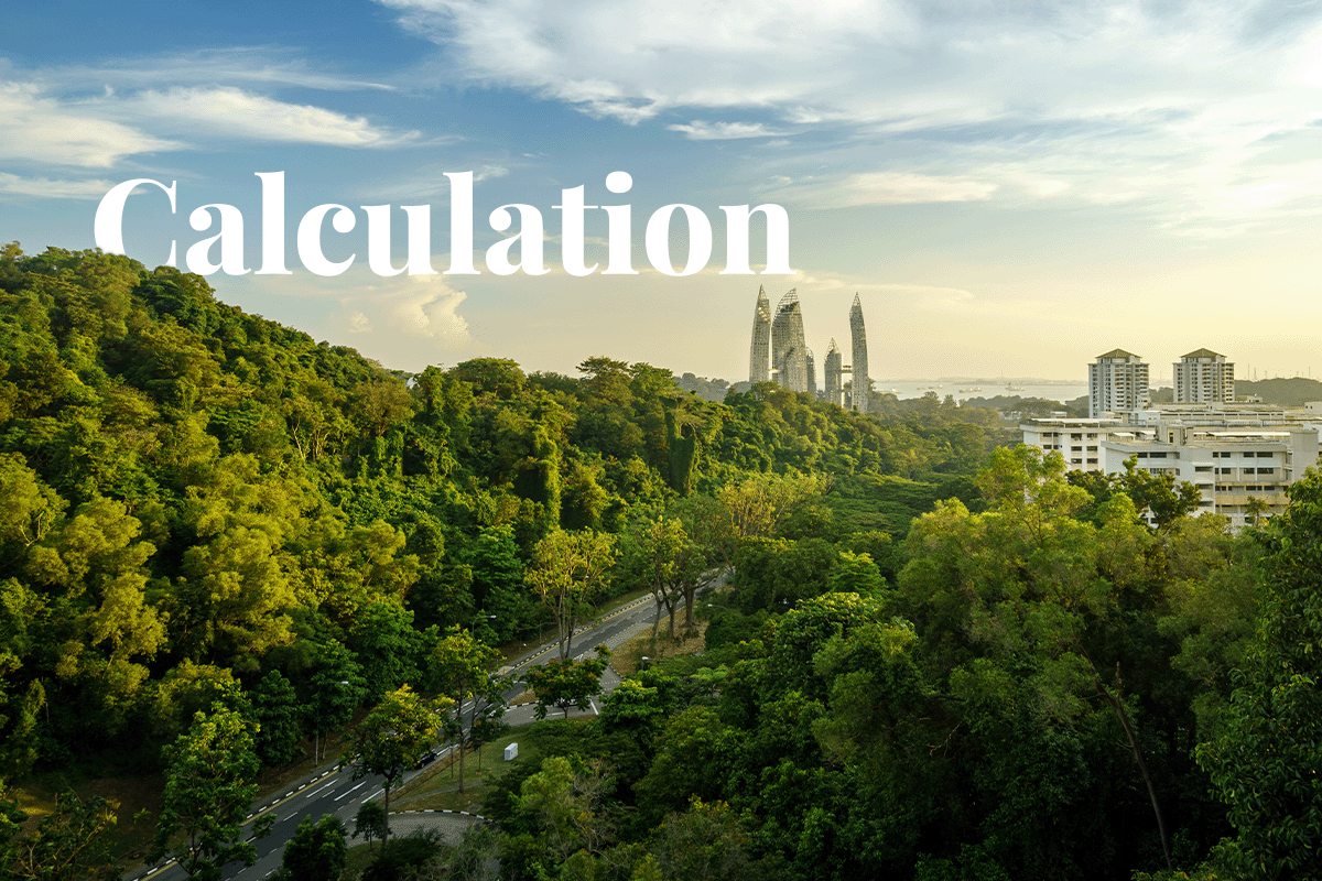 Singapores biodiversity calculator_ bridging urbanisation and ecology_view of lush trees and Keppel Bay_visual 1