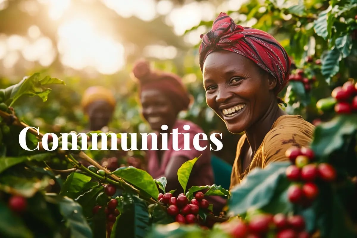 Social impact takes centre stage in defining high-quality carbon credits_visual 1