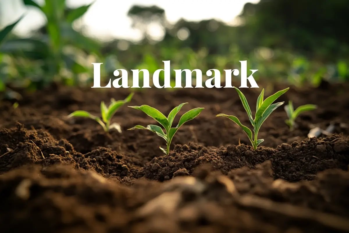 Soil carbon credits issued for the first time in Brazil under the Verra protocol-1