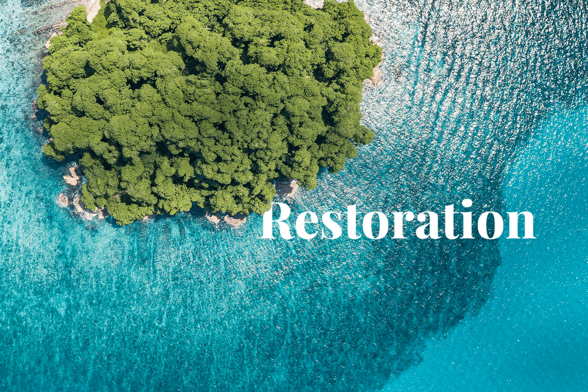 Southeast Asias $200 billion restoration imperative_Aerial view of Malaysian Island_visual 1