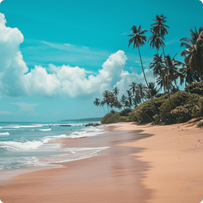 Sri Lanka Plastic Removal Project_gallery 5