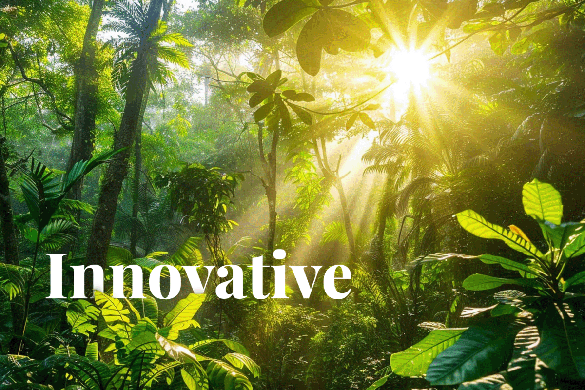 Sri Lanka to host innovative carbon credit exchange_Sun rays breaking through vegetation of Sri Lankan tropical forest_visual 1