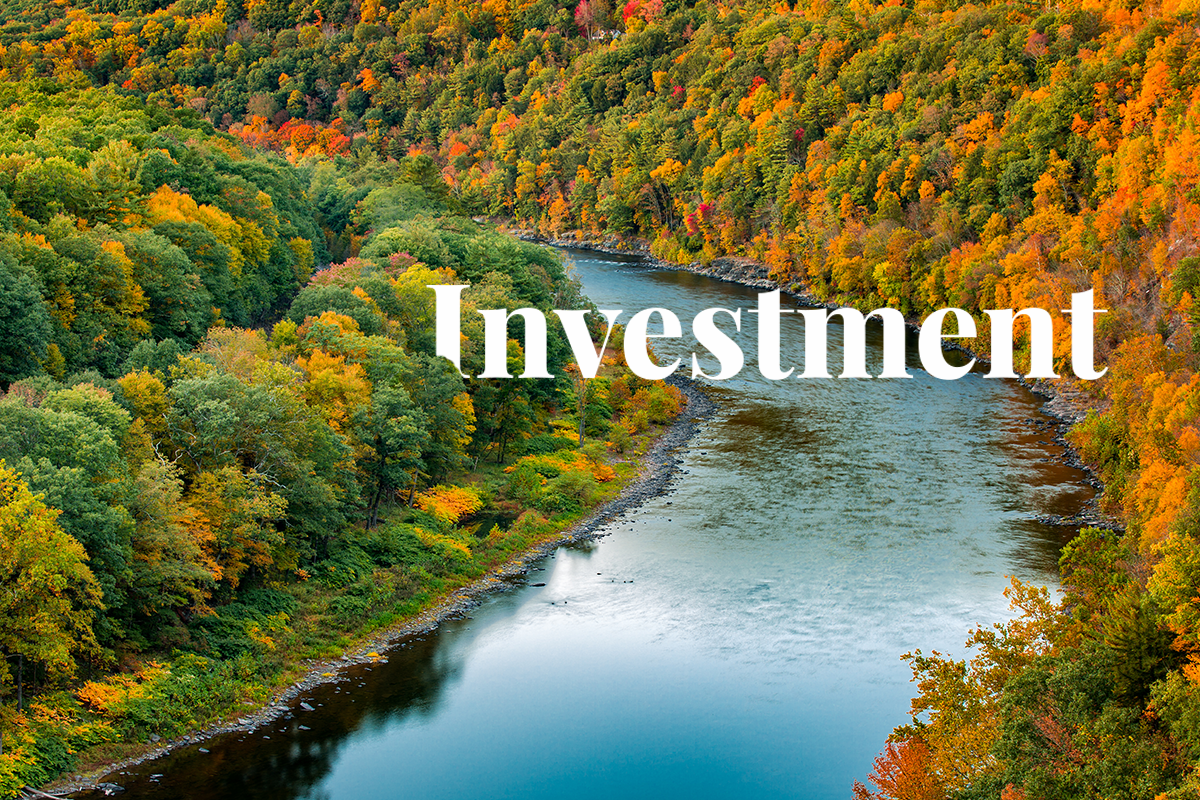 Stafford Capital’s Forest Carbon Credit Fund Secures $242 Million_visual 1