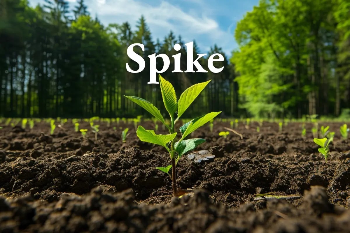 Supply squeeze ahead_ EU carbon prices projected to surge 40% in 2026_visual 1