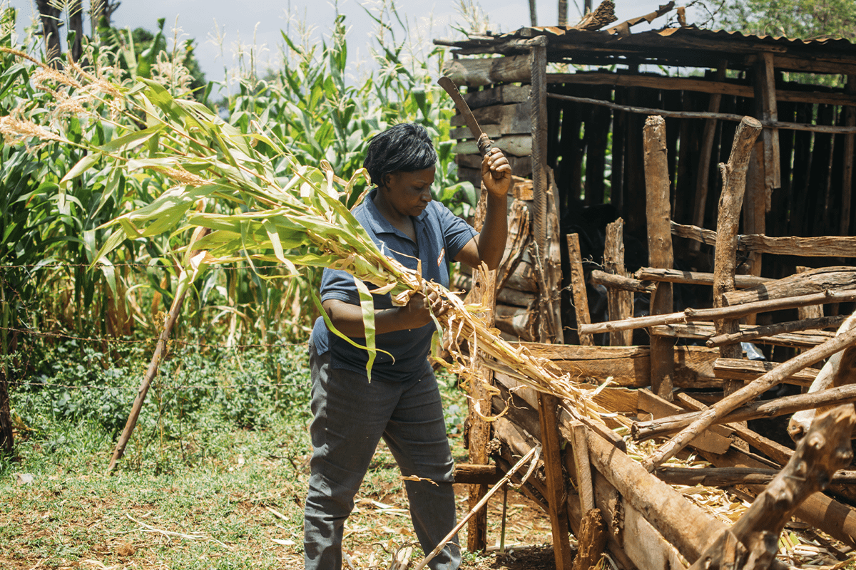 Sustainability_Kenya cookstoves project_visual 4-1