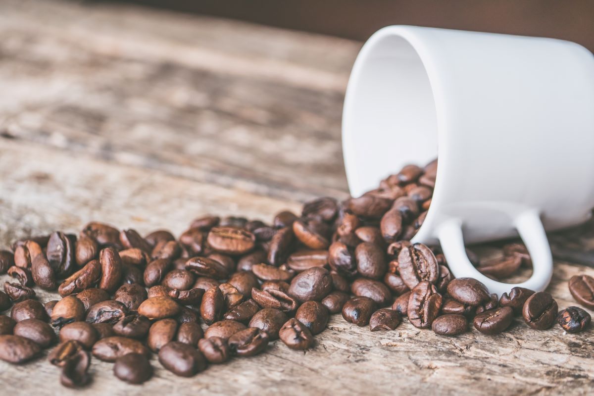 Sustainable coffee 3