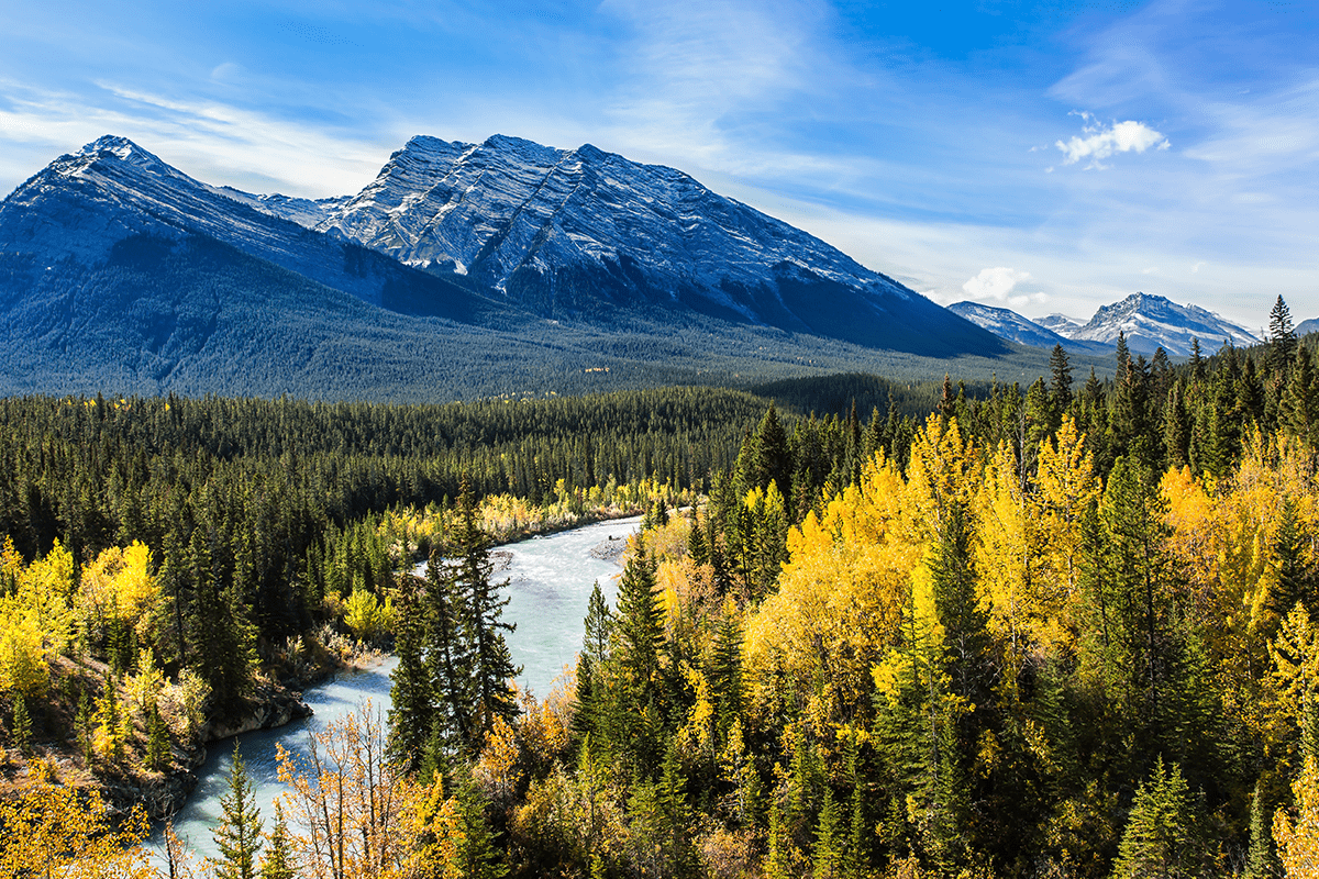 Sustainable forestry practices in Canada_The Abraham lake in Canada_visual 8