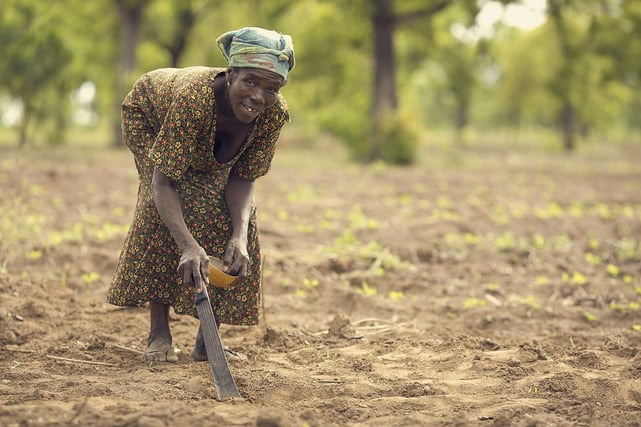 Switzerland, Ghana sign 1m mt CO2 rice deal under Paris