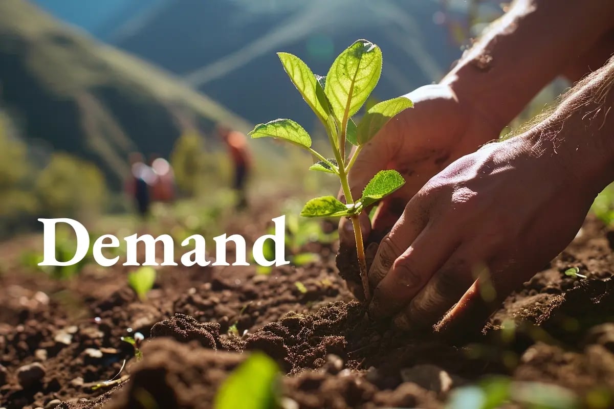 Switzerland’s green path could require quadrupling carbon credit purchases_visual 1_EN