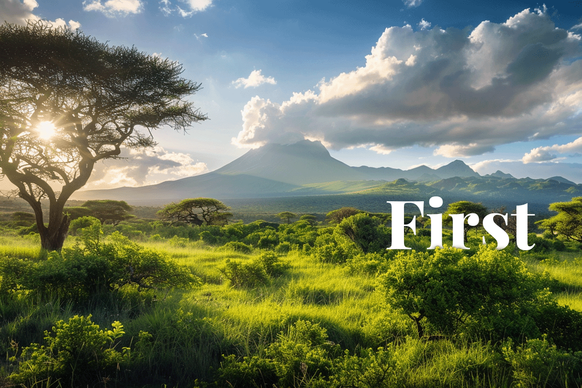 Tanzania's first carbon credit initiative: a leap towards greener ...