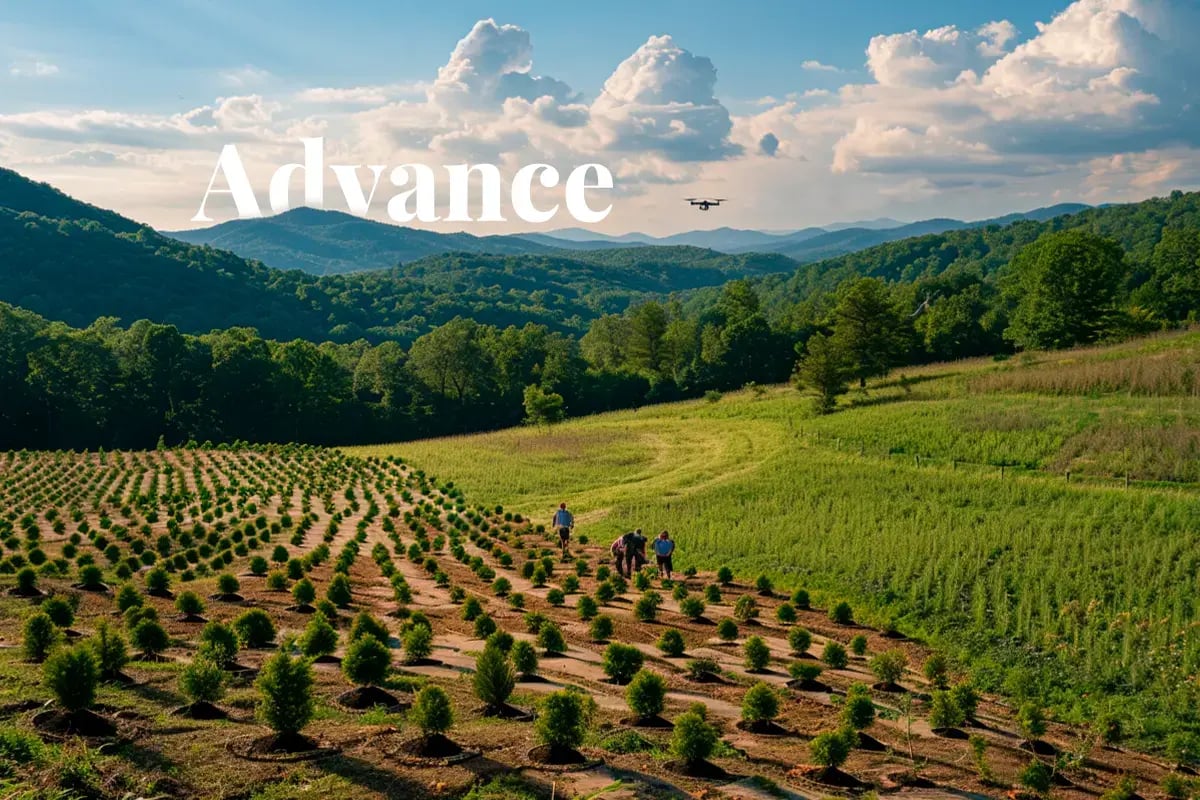 Tech giant, green giant, How Microsoft leads the way in carbon offsets_Landscape shot capturing a reforestation initiative in the Appalachian region, with local people planting trees and using a drone to collec