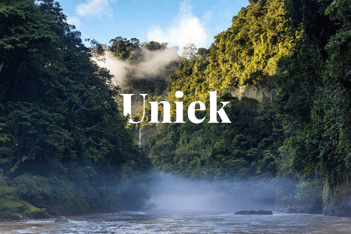 The 10 largest forests in the world_Foggy Amazon Rainforest_visual 1_NL