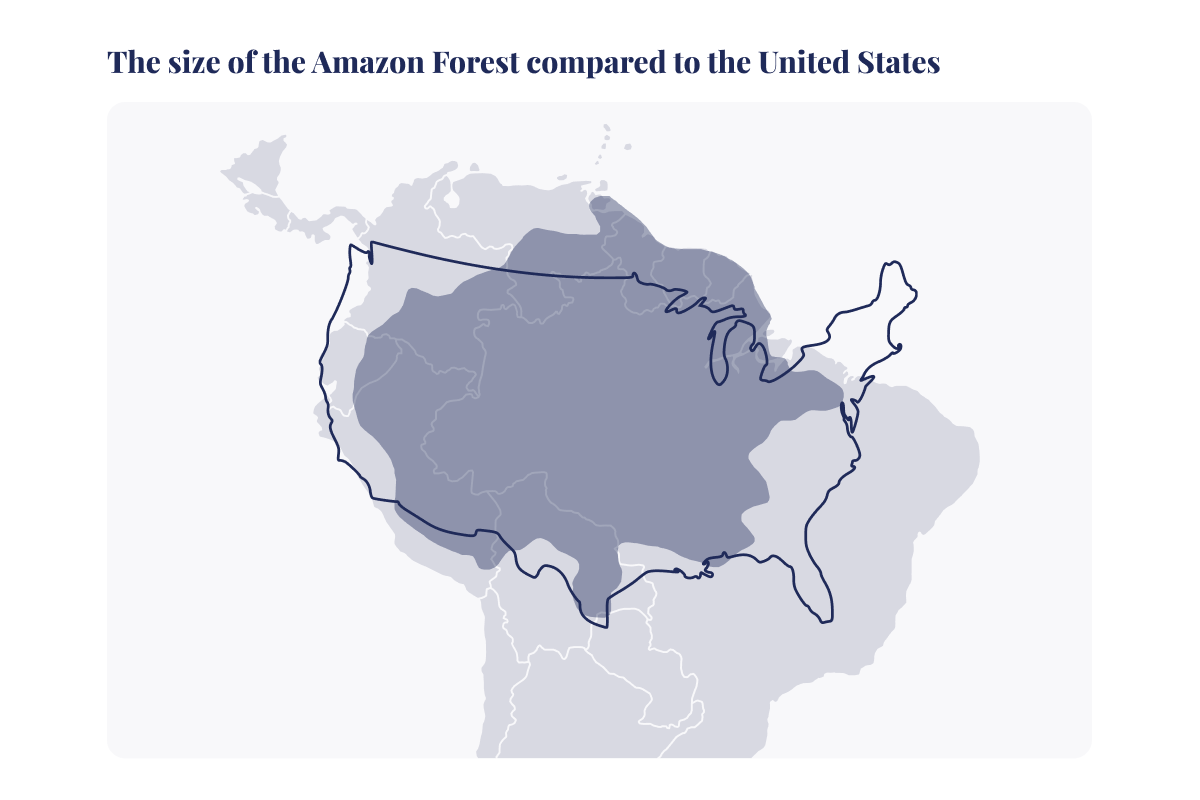 The 10 largest forests in the world_Map showing the size of the Amazon Forest_visual 2