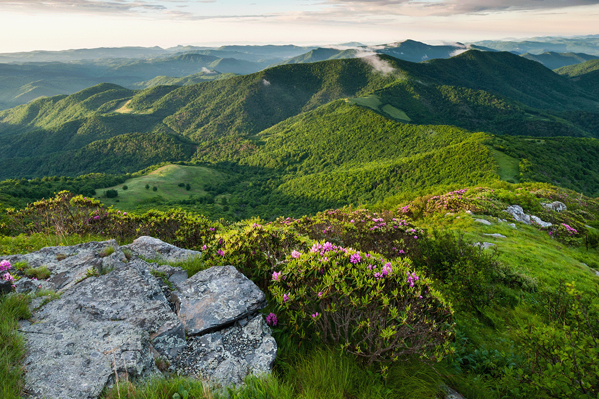 10 hutan terluas di dunia_Pemandangan Pegunungan Appalachian_visual 5