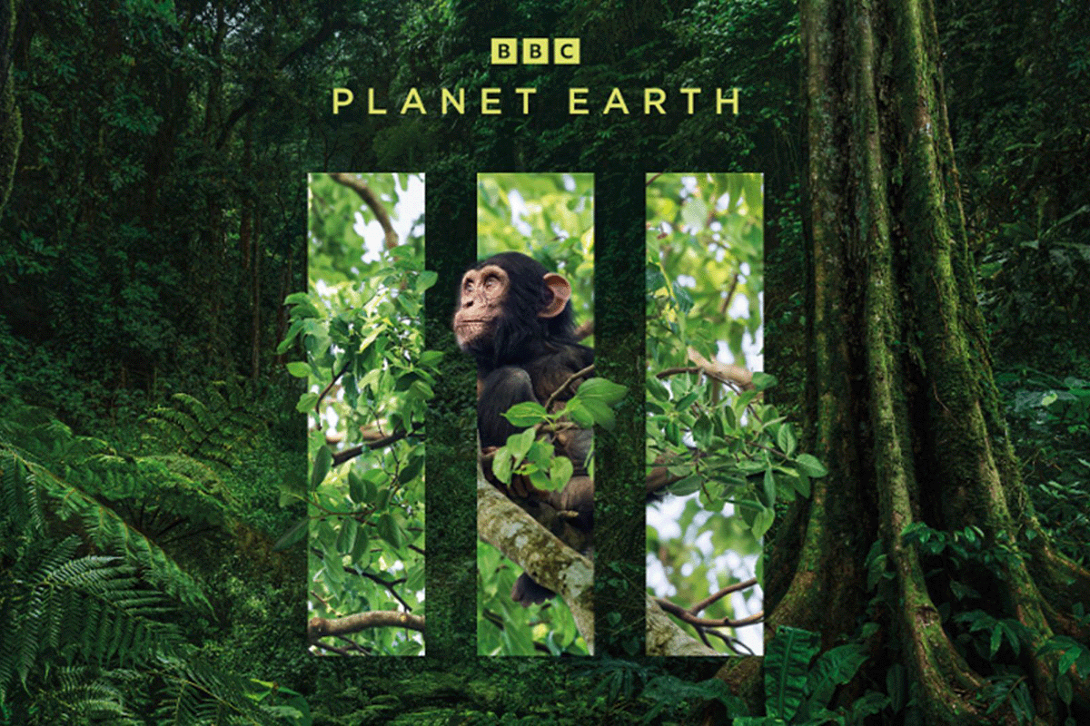 The Bulindi Chimpanzee Project shines on Planet Earth III_Poster of the BBC documentary Planet Earth III_visual 2
