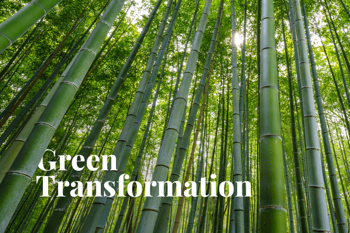 The Japanese Cabinet confirms the Basic Plan for the GX Green Transformation Policy