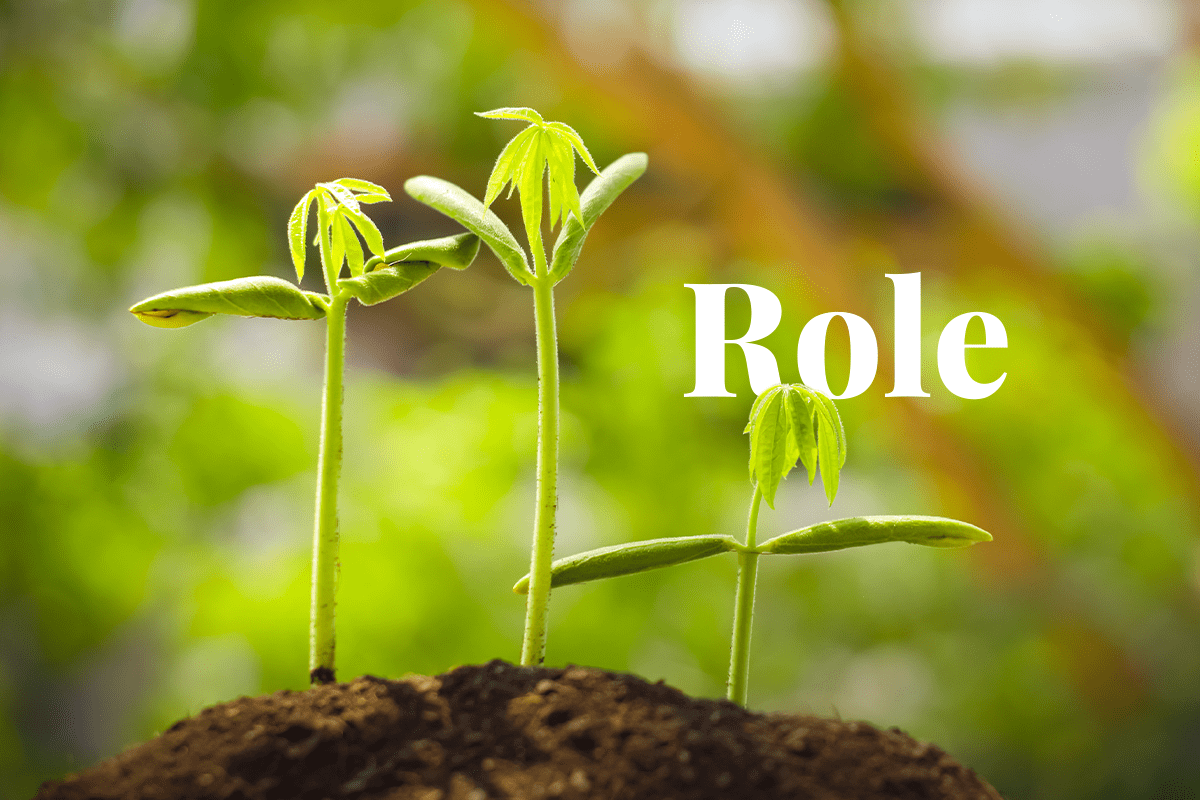 The Role of Carbon Credits in Business_ Benefits, Challenges, and Future Outlook_visual 1